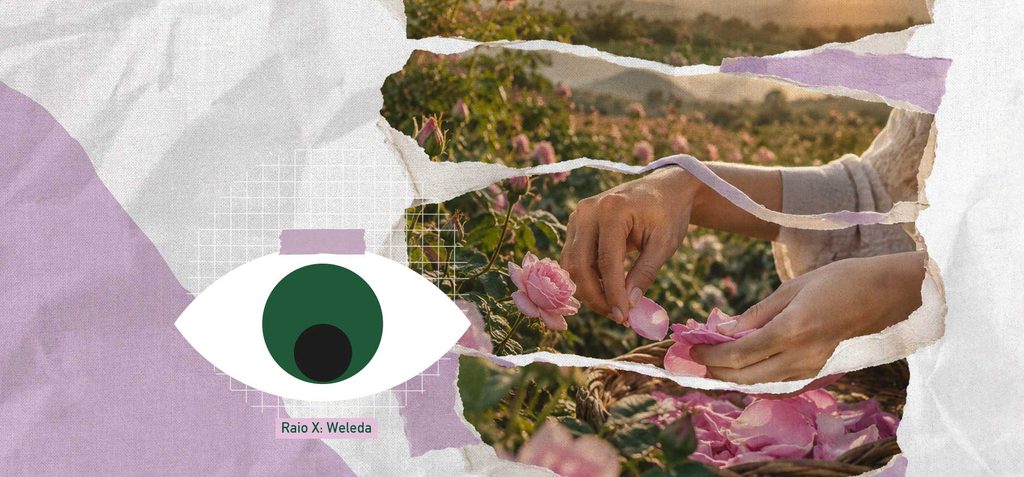  Ilustração de um frasco de cosmético natural sobre uma bancada de laboratório rústica, cercado por ervas e plantas medicinais, com raízes visíveis simbolizando origem e tradição, paleta verde e âmbar, atmosfera de cuidado e ciência natural.
